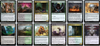 MTG Magic the Gathering Commander Deck - Virtus the Veiled & Gorm the Great (Partners)