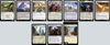 MTG Magic the Gathering Commander Deck - Delney Streetwise Lookout (White Weenie)
