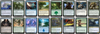 MTG Magic the Gathering Commander Deck - Mr. Foxglove (Cheating Fox)