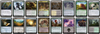 MTG Magic the Gathering Commander Deck - Doran, the Siege Tower (Toughness Matters)