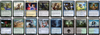 MTG Magic 100-Karten Commander Deck -  Tatsunari, Toad Rider (Frogs)