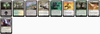 MTG Magic the Gathering Commander Deck - Myrkul, Lord of Bones (Verzauberungen)